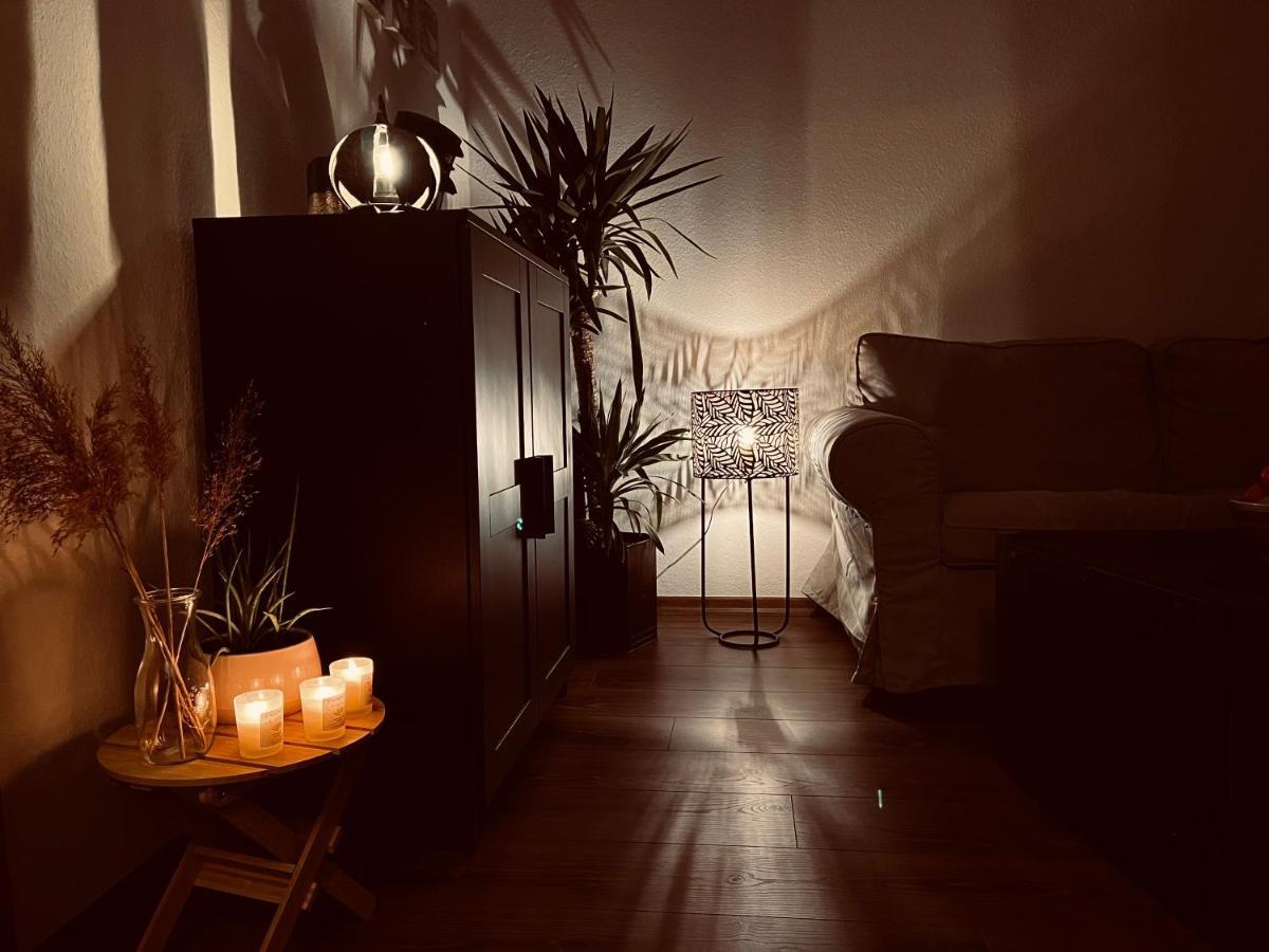 Traumhaftes Zwei-Zimmer-Apartment An Der Elbe Drezda Kültér fotó